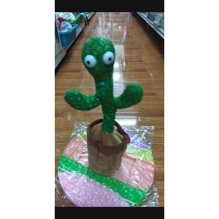 ต้นกระบองเพชรพูดได้ น้องบอง🌵🍃