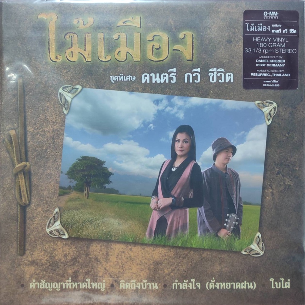 แผ่นเสียง-วง-ไม้เมือง