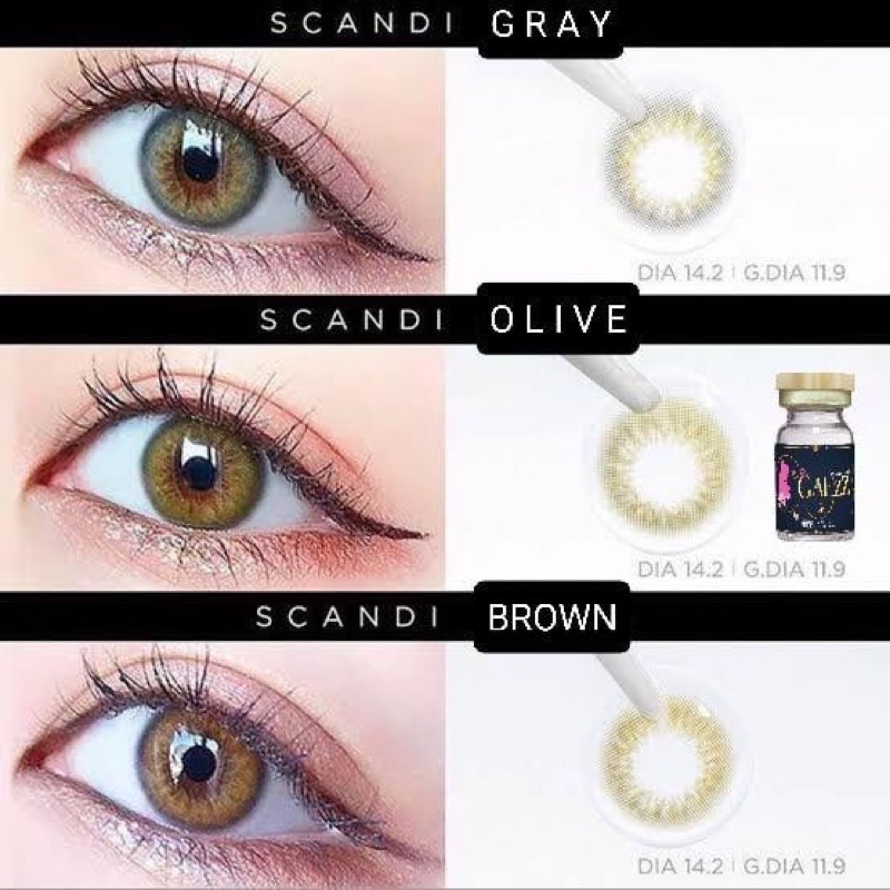 Scandi Brown / gray / hazel / olive - sweety soft | Shopee Thailand