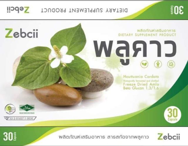 zabcii-supper-พลูคาว-สกัด