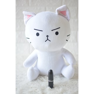 { มือสอง } ตุ๊กตาแมว อนิเมะ Anime จากญี่ปุ่น
