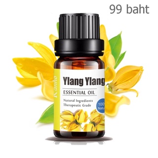 Aliztar 100% Pure Ylang Ylang Essential Oil 10 มิล. น้ำมันหอมระเหยกระดังงาแท้ สำหรับอโรมาเทอราพี เตาอโรมา เครื่องพ่นไ...