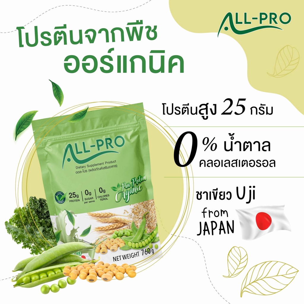 โปรตีนพืช-รสชาเขียว-pea-protein-organic-แพลต์โปรตีน-ออแกนิค-รสชาเขียว-uji-all-pro-plant-based-protein-760g