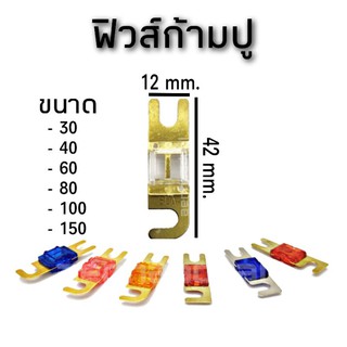 ฟิวส์ก้ามปู เบอร์ 30/40/60/80/100/150 #1196 สำหรับเปลี่ยนกับกระบอกฟิวส์ที่ใช้กับฟิวส์ก้ามปู ราคาต่อชิ้น