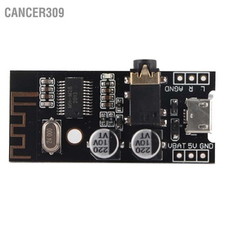 Cancer309 HW-407 Bluetooth 4.2 Transmission Dual Channel Stereo Lossless Wireless Audio Module