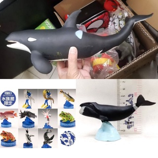 (แท้/มือ1, 2)​ Kaiyodo Sunshine Aqua Diver &amp; Nisegoishiutsubo​ นักดำน้ำกับปลาไหลสีเทา,วาฬ RE-MENT KITAN ANIMAL