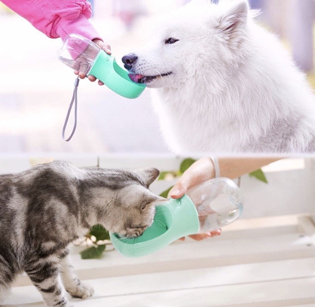 กระบอกน้ำสำหรับสัตว์เลี้ยง-สุนัขและแมว-พกพา-pet-care-cup-out-outdoor