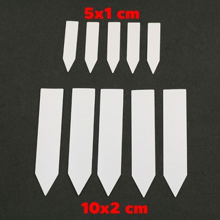 ป้ายชื่อต้นไม้  ป้ายต้นไม้ Tag ต้นไม้ Tag PVC แบบบาง 20 50 100 ชิ้น