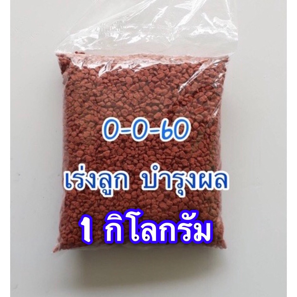 ปุ๋ยทิพย์-0-0-60-ชนิดเม็ด-แบ่งขาย-1-kg