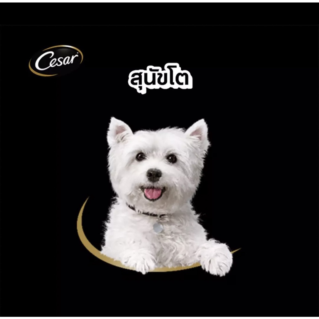 ภาพหน้าปกสินค้าCesar Pouch ซีซาร์ อาหารเปียกสำหรับสุนัขชนิดซอง ขนาด 70กรัม จากร้าน veryhappydog บน Shopee