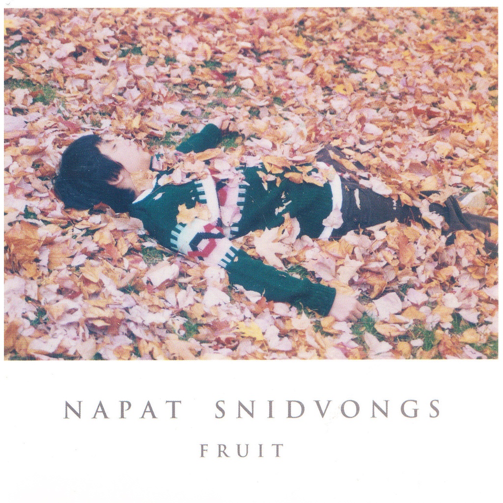 napat-snidvongs-ณภัทร-สนิทวงศ์-ณ-อยุธยา-fruit-cd-เพลงไทย