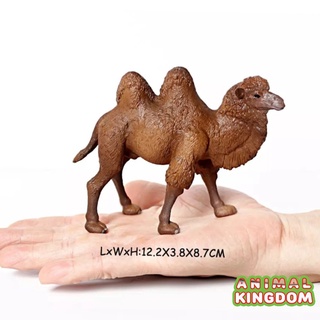 Animal Kingdom - โมเดลสัตว์ อูฐ สองหนอก แดง ขนาด 12.20 CM (จากหาดใหญ่)