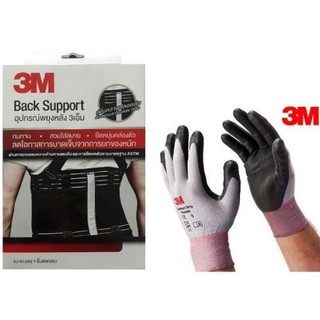 เข็มขัดพยุงหลัง 3M Back Support size L 38 – 42 นิ้ว &amp; ถุงมือจับยึดวัสดุ