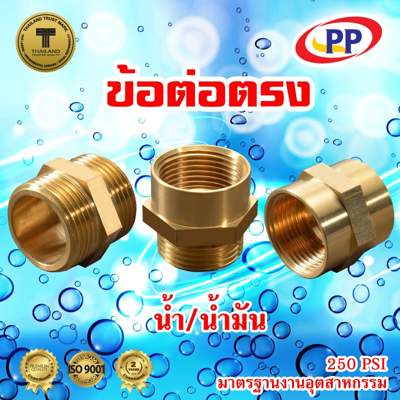 ข้อต่อทองเหลือง-ข้อต่อตรง-pp-พีพี-ม-ม-lt-เกลียวใน-เกลียวใน-gt-ขนาด-3-4-6หุน-แพ็ค-100-ชิ้น-ประปา-น้ำมัน