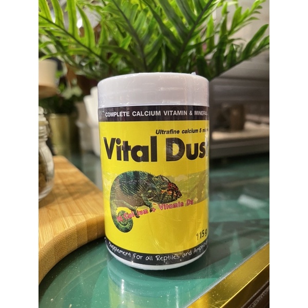 แคลเซียม และวิตามินรวม สัตว์เลื้อยคลาน Vital dust สูตร Original ...