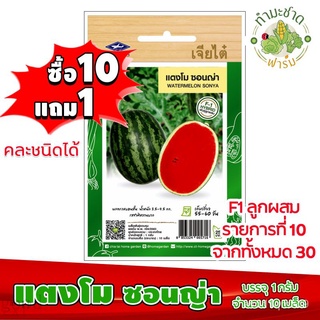 เมล็ดอวบอ้วน100%เมล็ดพันธุ์ผัก เจียไต๋ แตงโม ซอนญ่า  ประมาณ10 เมล็ด เมล็ดพันธุ์ผักสวนครัว เมล็ดพันธุ์พืชเมล็ดพืชคุณภาพสู