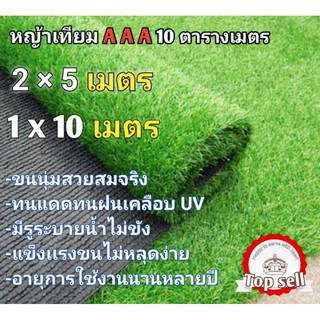 ภาพหน้าปกสินค้าหญ้าเทียม 2cm. 10 ตารางเมตร AAA 2×5เมตร 1×10เมตร ที่เกี่ยวข้อง