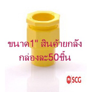 ข้อต่อเข้ากล่องร้อยสาย คอนเน็คเตอร์ pvc สีเหลือง ตราช้าง SCG ขนาด 1"(สินค้ายกลังกล่องละ50ชิ้น)