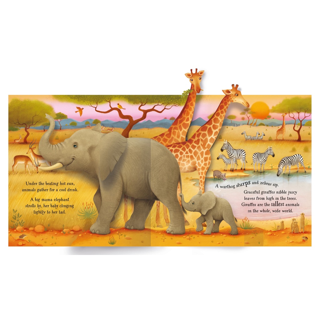 dktoday-หนังสือ-usborne-pop-up-animals