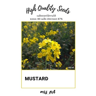 เมล็ดดอกไม้กินได้มัสตาร์ด Mustard