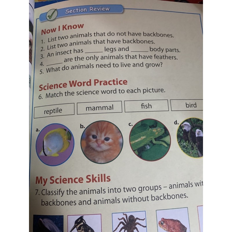 understanding-science-student-book-1-ป1-มือ-2