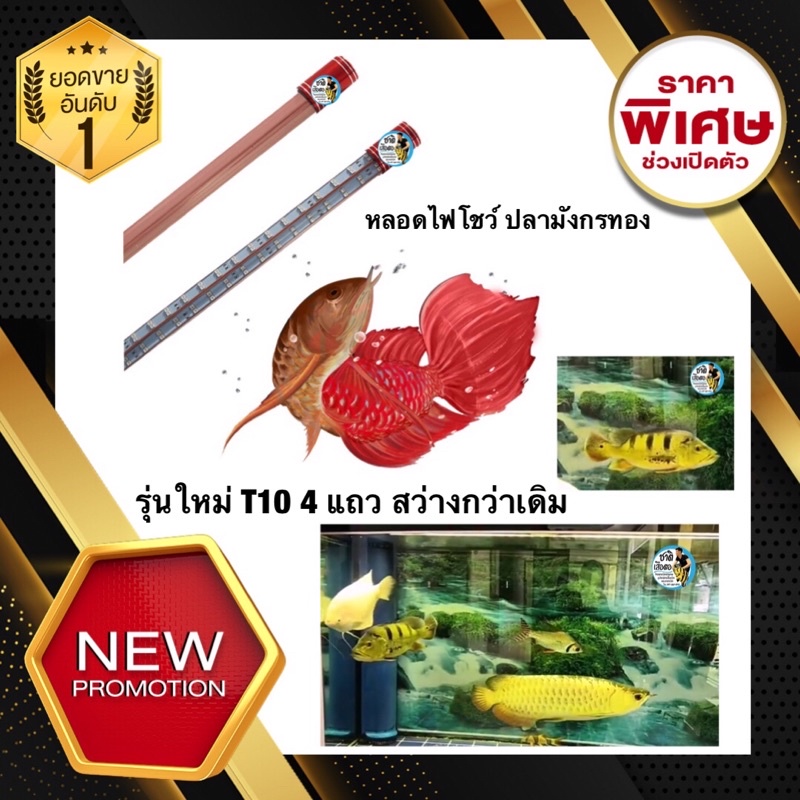 หลอดไฟโชว์สีปลา-สำหรับปลามังกรทอง-หลอดไฟปลามังกร-t10-4แถว-ขนาด-120cm-และ-150-cm-และ-180cm