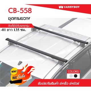 Carryboy ชุดคานขวางคู่ (สีเงิน/สีดำ) ขนาด 135 ซม.