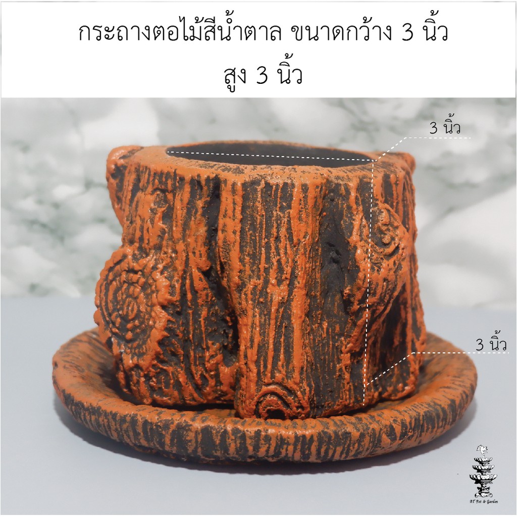 กระถางปูนตอไม้-ขนาด-3-นิ้ว-พร้อมจานรอง-พร้อมจานรอง-ราคาถูกที่สุด