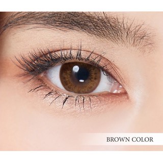 Naree Brown สีน้ำตาล มินิ น้ำตาล Sweety+ Contact Lens Bigeyes คอนแทคเลนส์ ค่าสายตา สายตาสั้น สายตาปกติ แฟชั่น