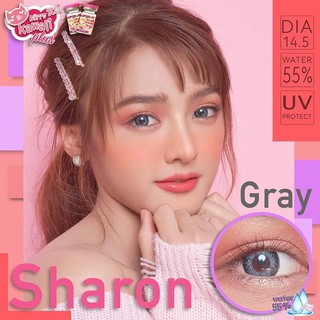 Sharon Gray (1) บิ๊กอาย สีเทา เทา โตกลางๆ ทรีโทน Bigeyes Kitty Kawaii คอนแทคเลนส์ ค่าสายตา ค่าอมน้ำสูง สายตาสั้น