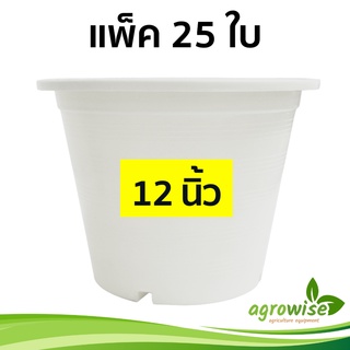 กะถางต้นไม้
 กระถางต้นไม้สวยๆ
 กระถางต้นไม้
 กระถางขาว สีขาว 12 นิ้ว 25 ใบ