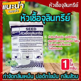 หัวเชื้อจุลินทรีย์ 😷กำจัดกลิ่นถังบำบัด กำจัดกลิ่นเหม็น บ่อดักไขมัน กลิ่นส้วม ใช้งานง่าย ไม่เป็นอันตราย ขนาด 1 กิโล