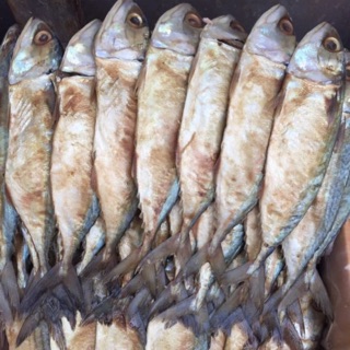 ปลาทูหอม ไซส์ใหญ่คัดพิเศษ มีหลายขนาดให้เลือก
