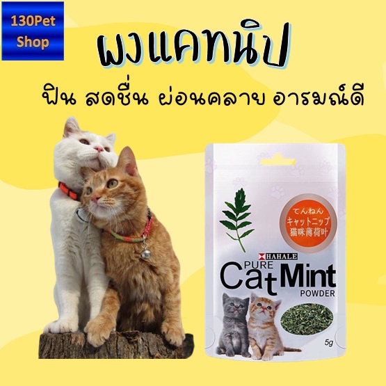 ผงแคทนิป-อาหารแมว-catnip-ช่วยขับถ่ายขน-ช่วยระบบเผาผลาน-เจริญอาหาร-กระปรี้กระเปร่า-5-กรัม-ถุง