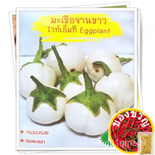 เมล็ดมะเขือจานขาว-ไวท์เอ็มที-eggplant-เมล็ดมะเขือ-เมล็ดพันธุ์มะเขือ-เมล็ดผักสวนครัว-ตราภูเขาทองflowermixgrassrubycolorly