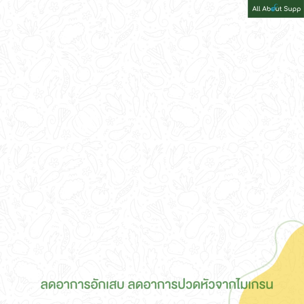 mullein-leaf-extract-by-double-wood-บำรุงระบบทางเดินหายใจ-เสริมสร้างระบบภูมิคุ้มกัน-ต้านอนุมูลอิสระ