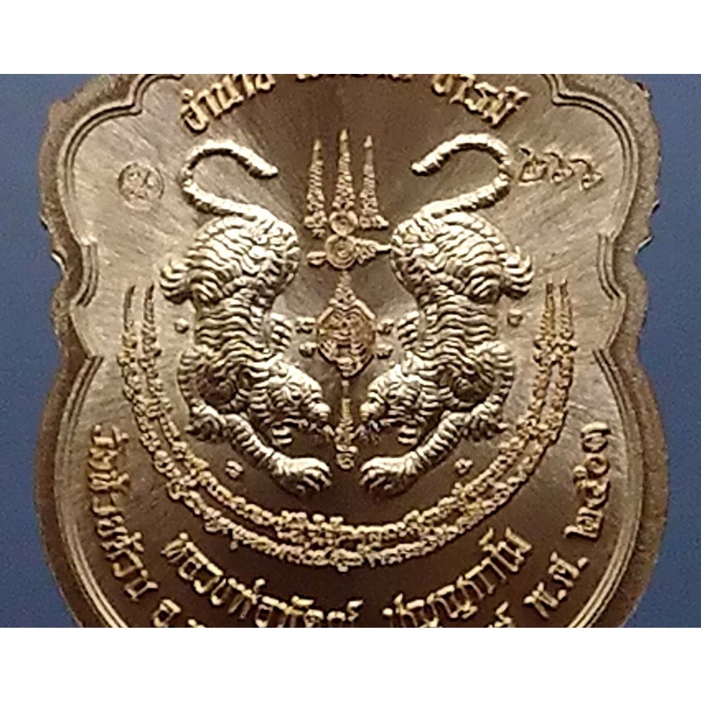 เหรียญเสมา-เสือคาบดาบ-รุ่น2-เนื้อสัตตะ-หน้ากากทองขาว-หลวงพ่อพัฒน์-วัดห้วยด้วน-โคท-266