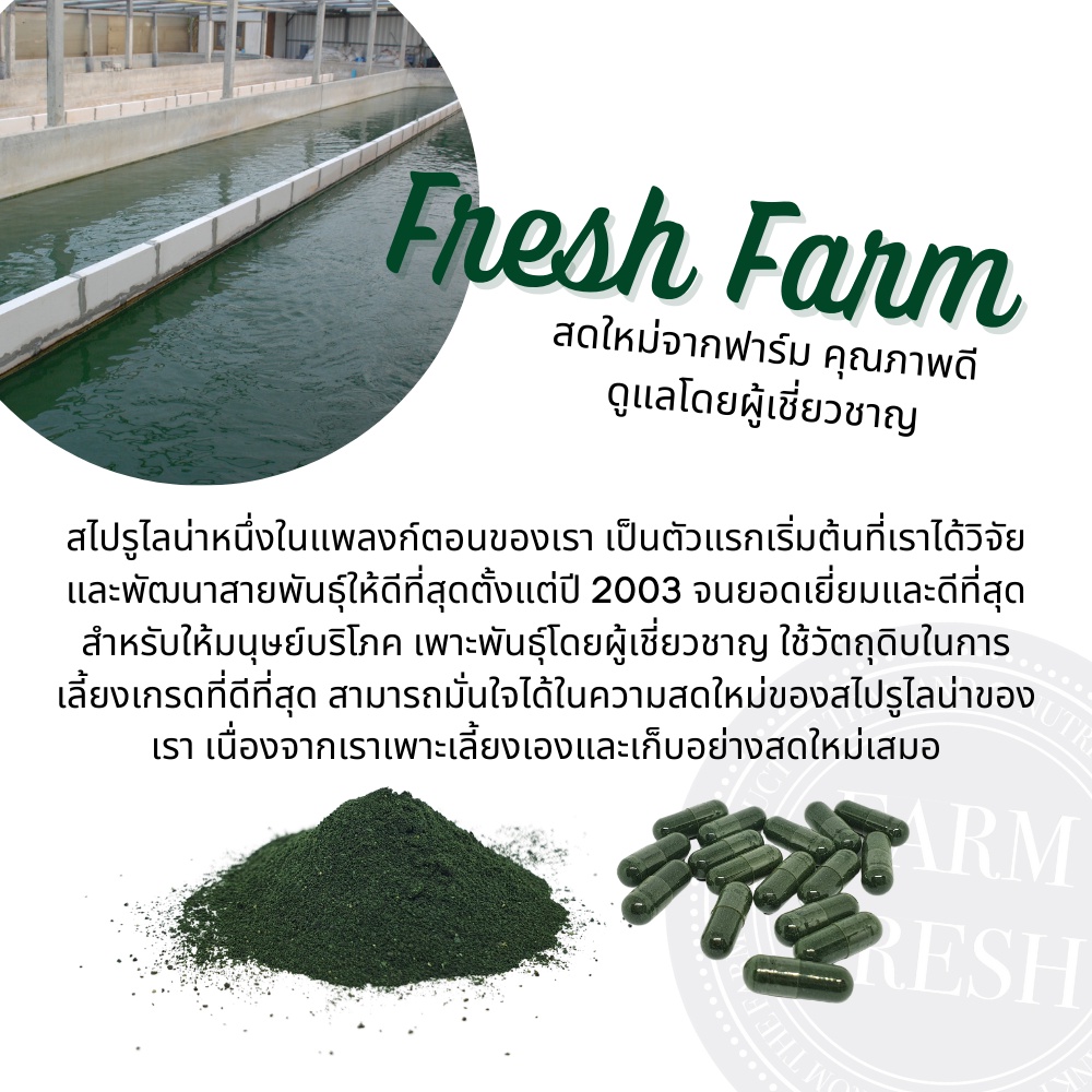 ภาพสินค้าTHUMMACHART SHOP - Spirulan สไปรูแลน (100 Capsules)(58 Grams) จากร้าน thummachartshop_officialshop บน Shopee ภาพที่ 3