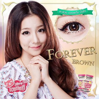 Forever Brown (1)(2) Kitty Kawaii บิ๊กอาย สีน้ำตาล ตัดขอบดำ น้ำตาล คอนแทคเลนส์ ตาโต แบ๊ว Contact Lens แฟชั่น ค่าสายตา