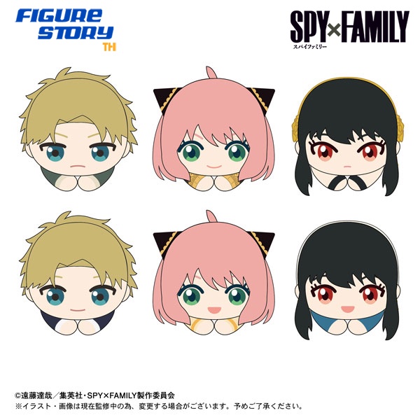 pre-order-จอง-spy-x-family-hug-chara-collection-6pack-box-อ่านรายละเอียดก่อนสั่งซื้อ