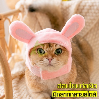 หมวกสัตว์เลี้ยง Pet Hat หมวกแมว