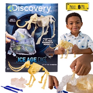 Discovery Ice Age Dig by Horizon Group