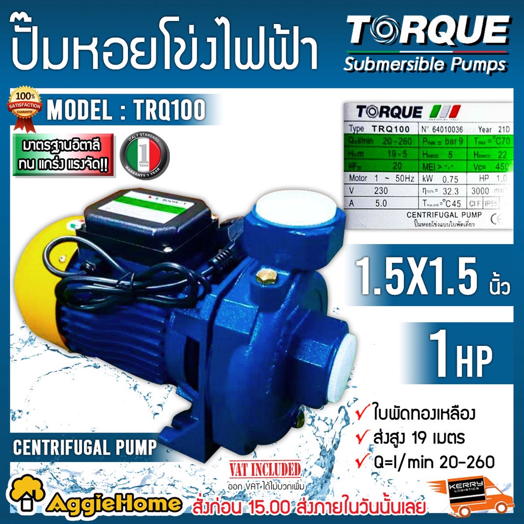 torque-ปั๊มน้ำ-ปั๊มไฟฟ้า-รุ่น-trq100-750วัตต์-220v-1แรงม้า-ท่อออก-1-5-x1-5นิ้ว-มีระบบป้องกันมอเตอร์ไหม้