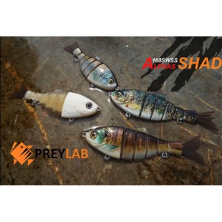 Alphas Shad เหยื่อปลอม ปลาบั้ง Big Bait แนว Swim Bait