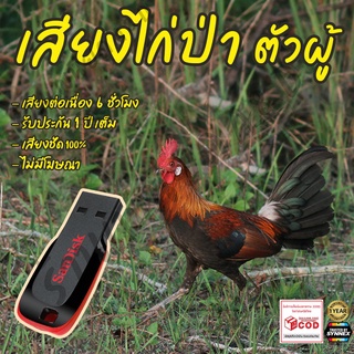 เสียงต่อไก่ป่า ตัวผู้ ยาว6ชั่วโมง ไม่มีโฆษณา แฟลชไดร์ฟ(Flash Drive) มีเก็บเงินปลายทาง