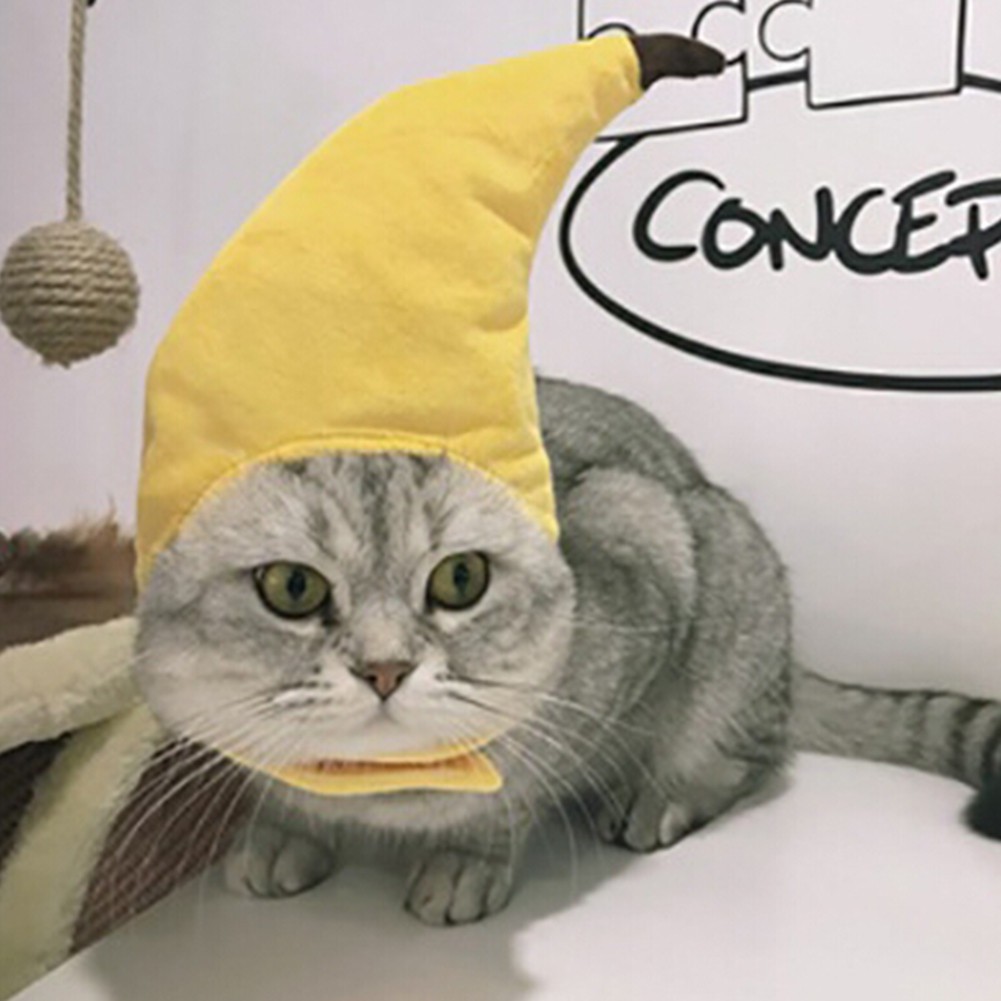 ภาพหน้าปกสินค้าหมวกสำหรับสัตว์เลี้ยงสุนัขแมวขนาดเล็ก จากร้าน fengci.th บน Shopee