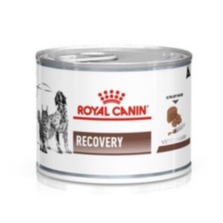 Royal  Recovery อาหารสุนัขและแมวประกอบการรักษา สำหรับระยะพักฟื้นและการดูแลหลังผ่าตัด ชนิดเปียก (ขนาด 195 กรัม)