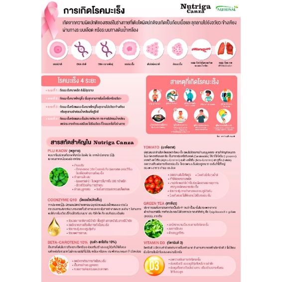 nutriga-canza-ป้องกันและรักษา-มะเร็ง-เพิ่มภูมิคุ้มกัน-ลดการอักเสบ