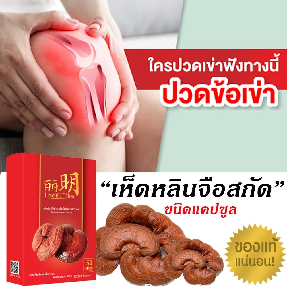 (สูตรเข้มข้น) Lingzhi Li Ming หลินจือ ลี่หมิง สารสกัดเห็ดหลินจือ บำรุง ...