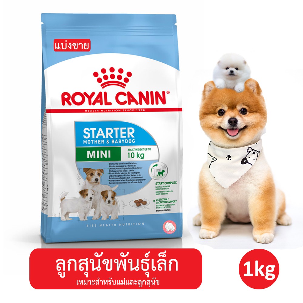 แบ่งขาย-royal-canin-mini-starter-อาหารลูกสุนัขช่วง-3-เดือนแรก